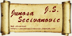 Junoša Sečivanović vizit kartica